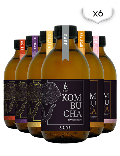 REM Kombucha Karışık 6’lı koli