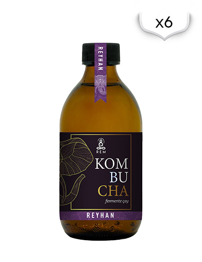 REM Kombucha Reyhan 6'lı Koli