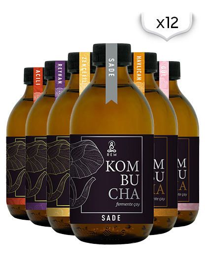 REM Kombucha Karışık 12'li Koli